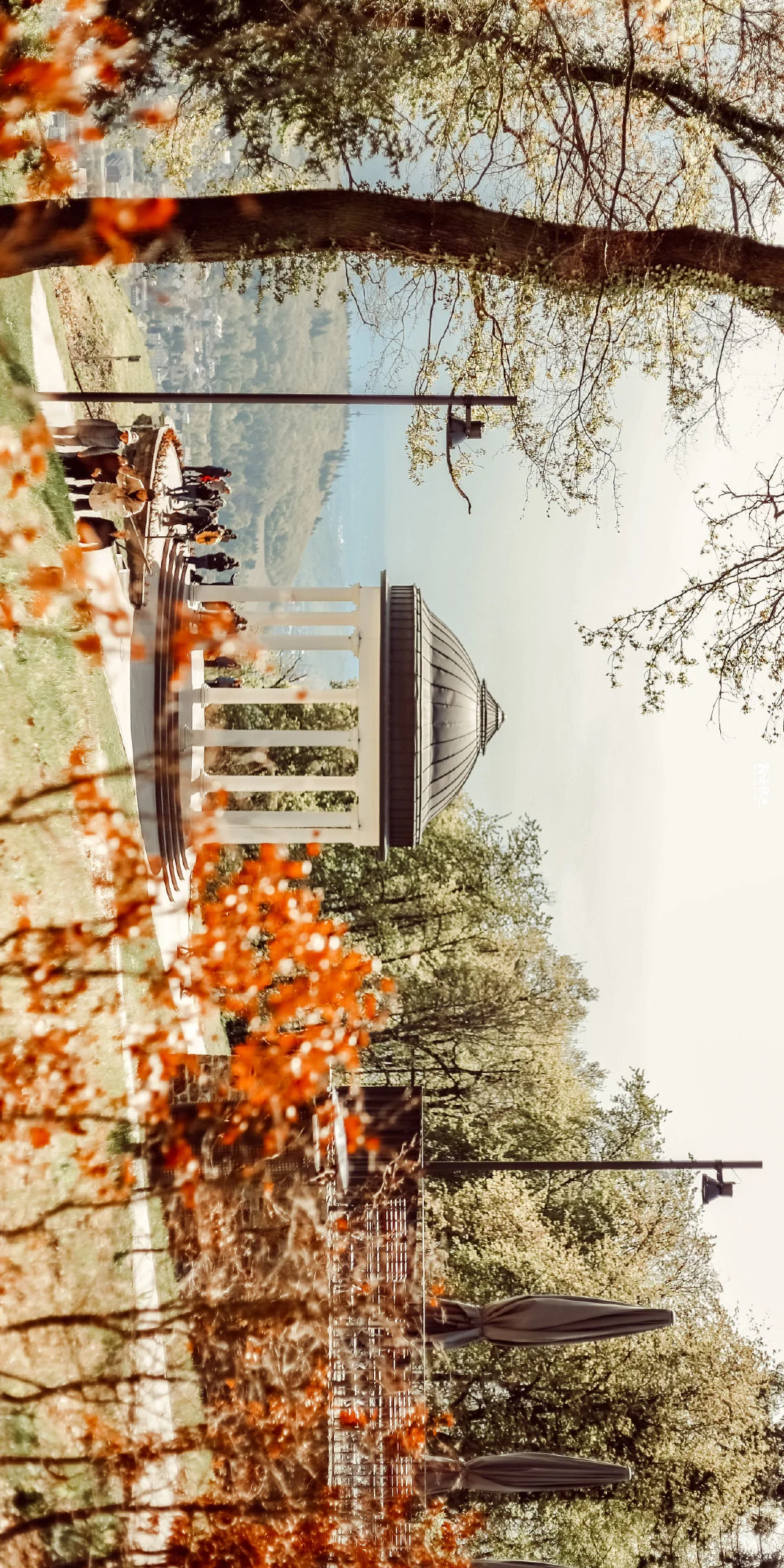 秋日限定壁纸上新