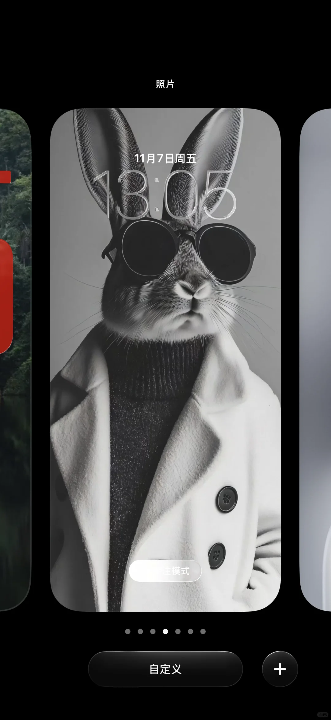 每日分享｜灰色系👀兔