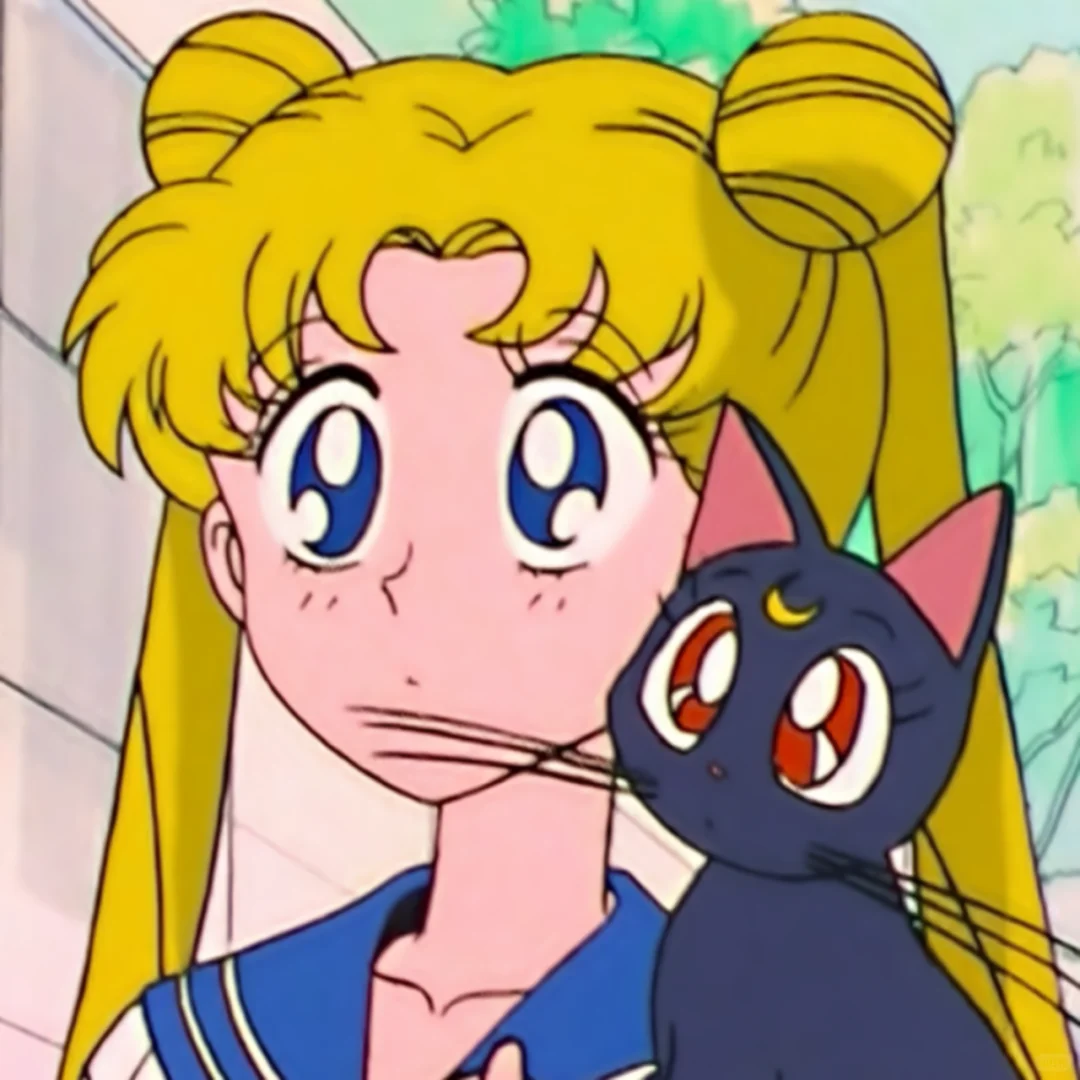 表情帝 月野兔的十八张面孔