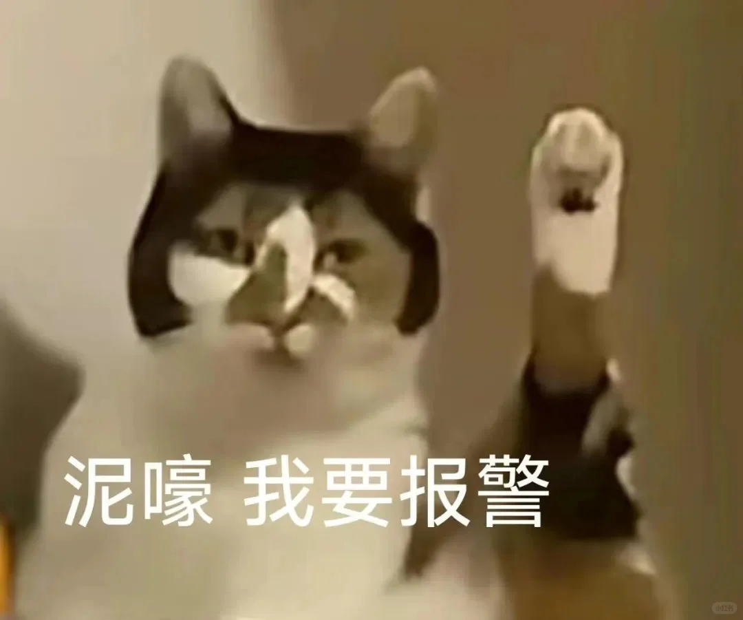 实用表情包5.0｜近期爱用分享