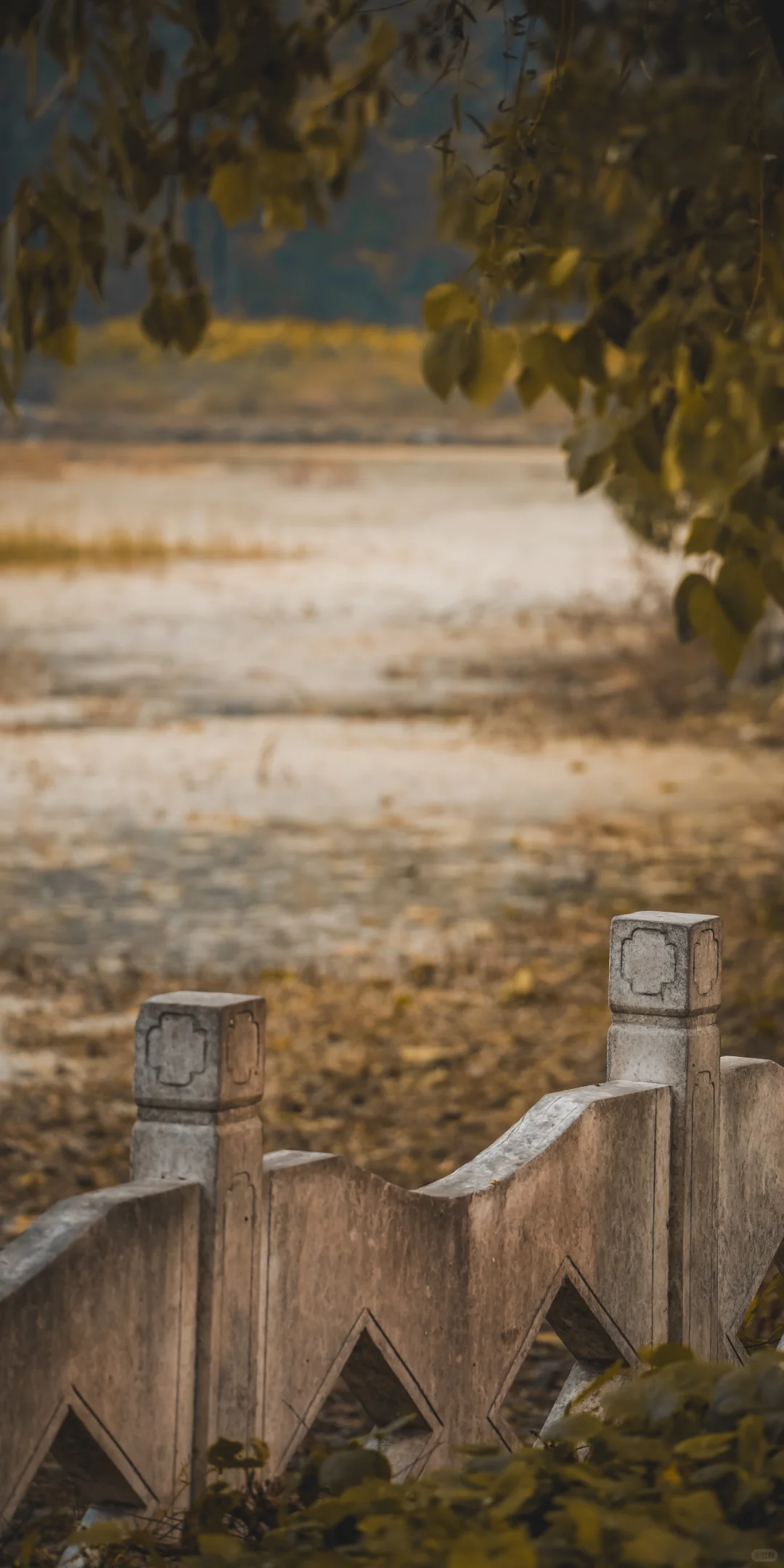 阴天，一份壁纸已送达