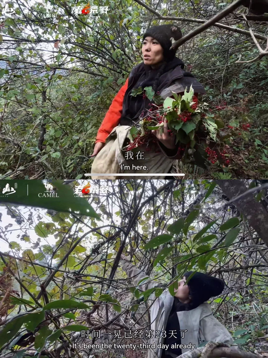 被《荒野求生》冷美人戳哭了｜内核太强大了