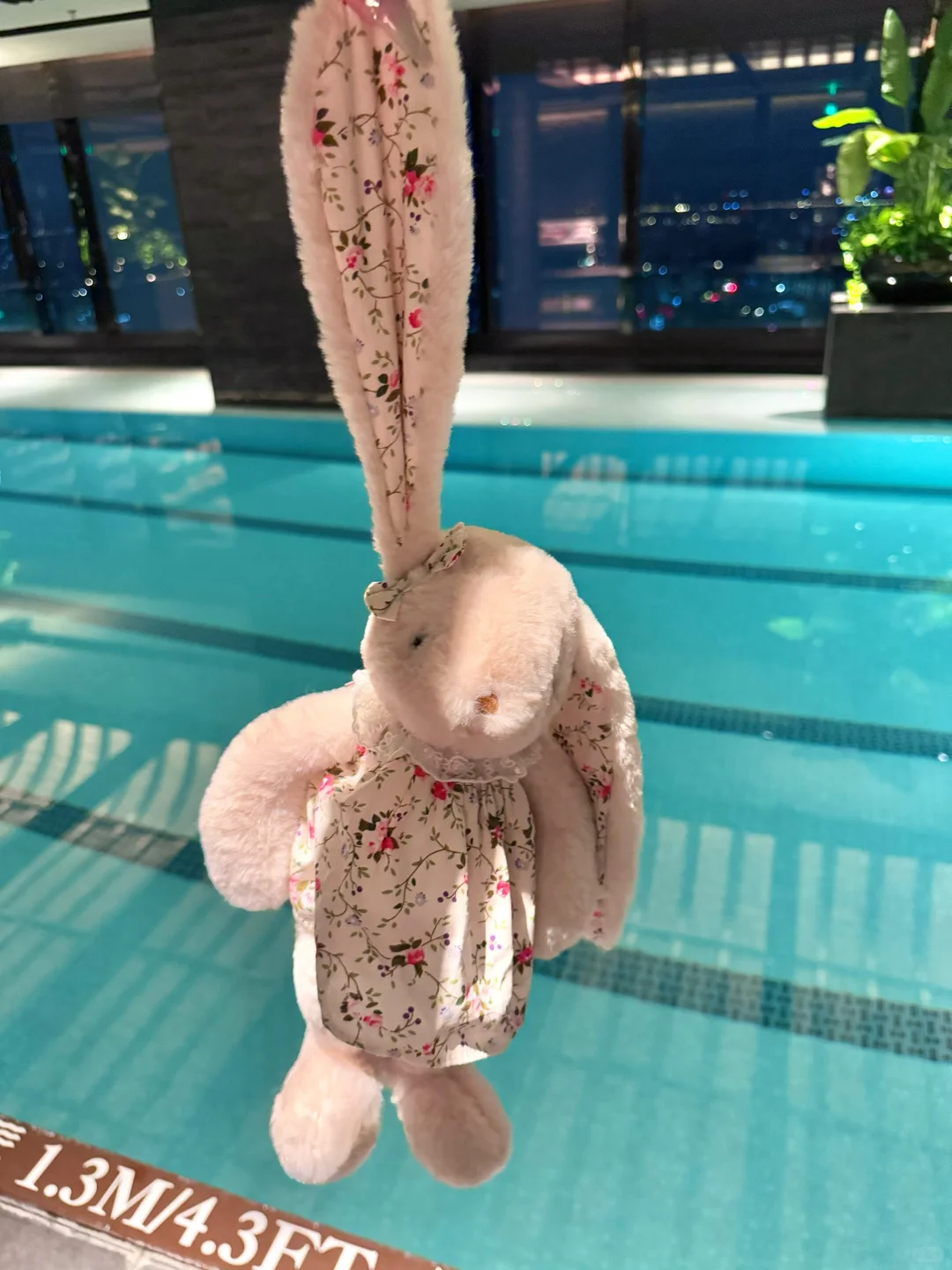 这个泳池也太好拍啦～