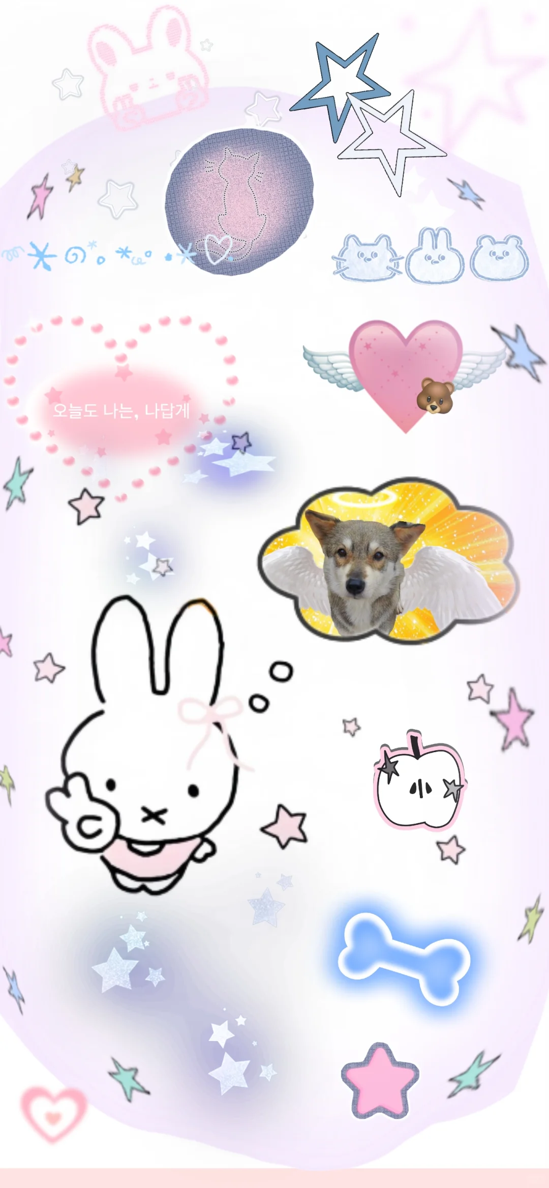 小狗壁纸｜人，不要动我手机，OK！