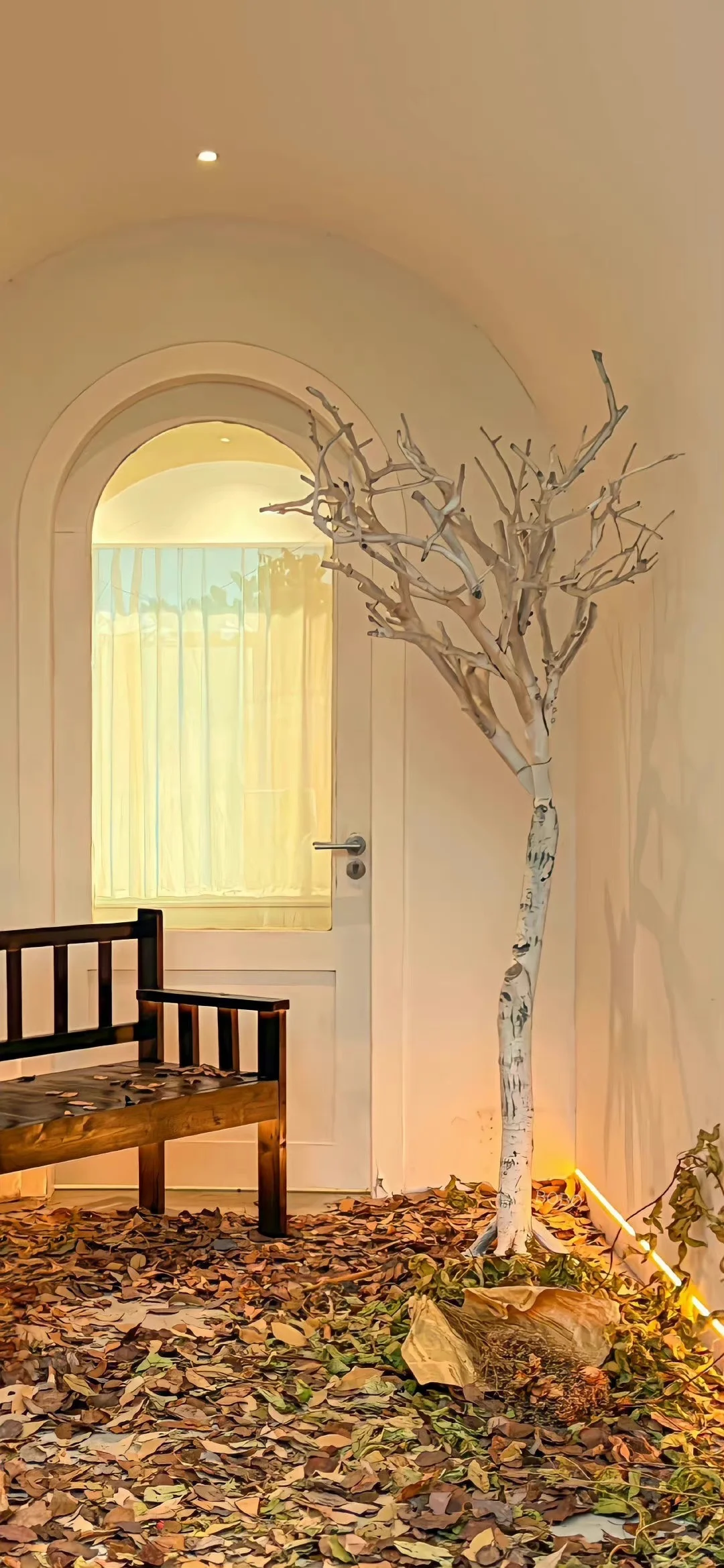 秋日限定壁纸上新