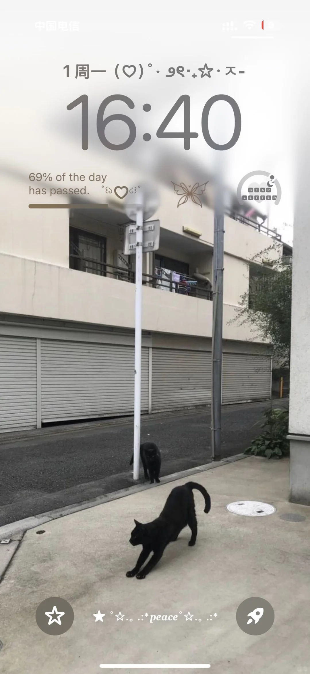 这种慵懒感壁纸谁懂啊！！！