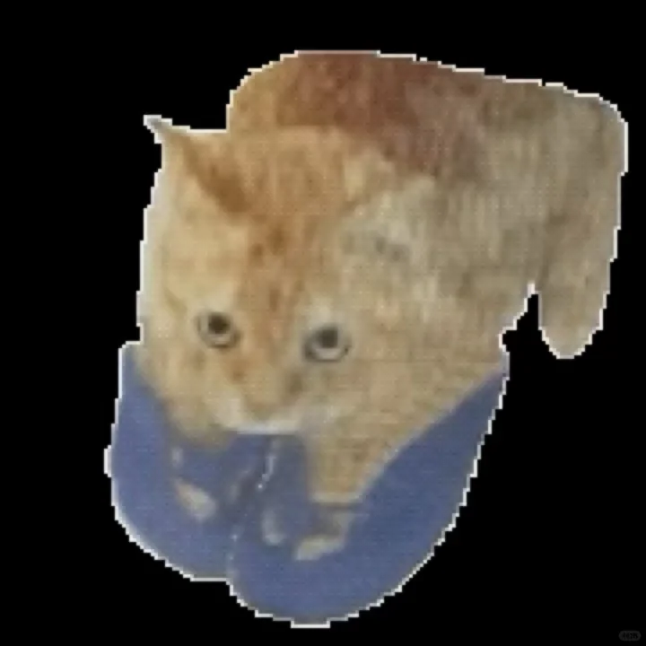 低脂猫猫表情包