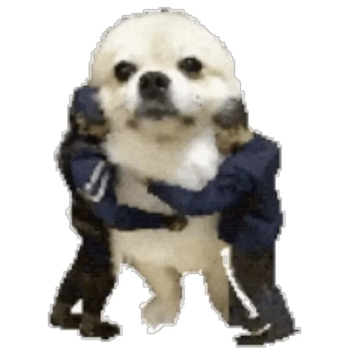 跟诡秘聊天我就发这些表情