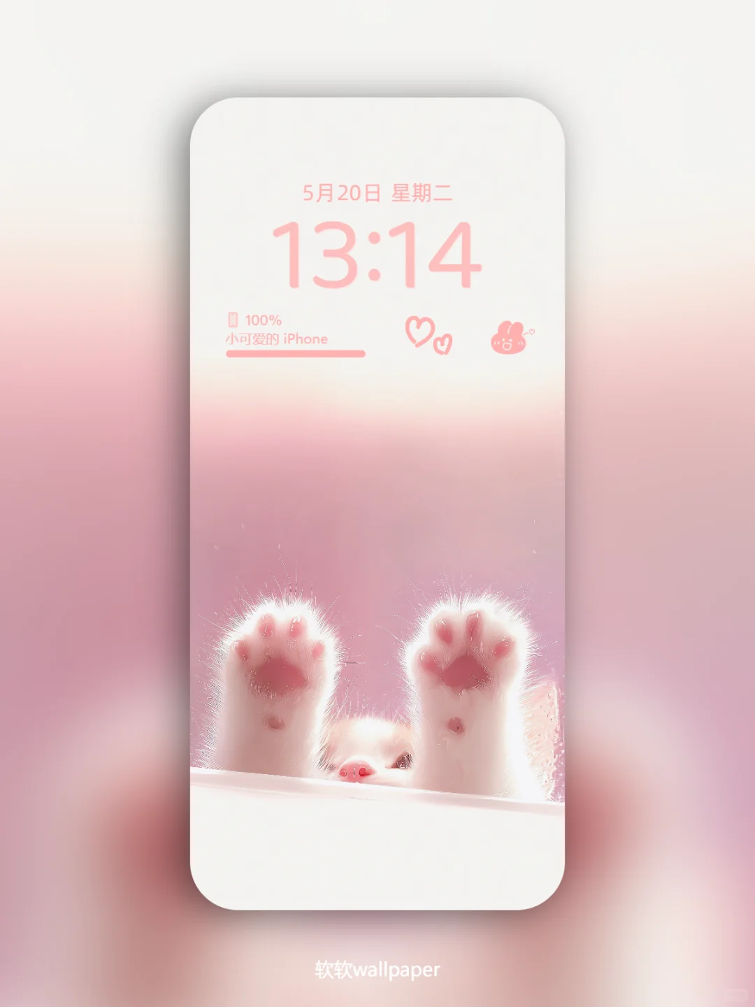 粉雾里的软爪爪🐾 萌化了我的心！