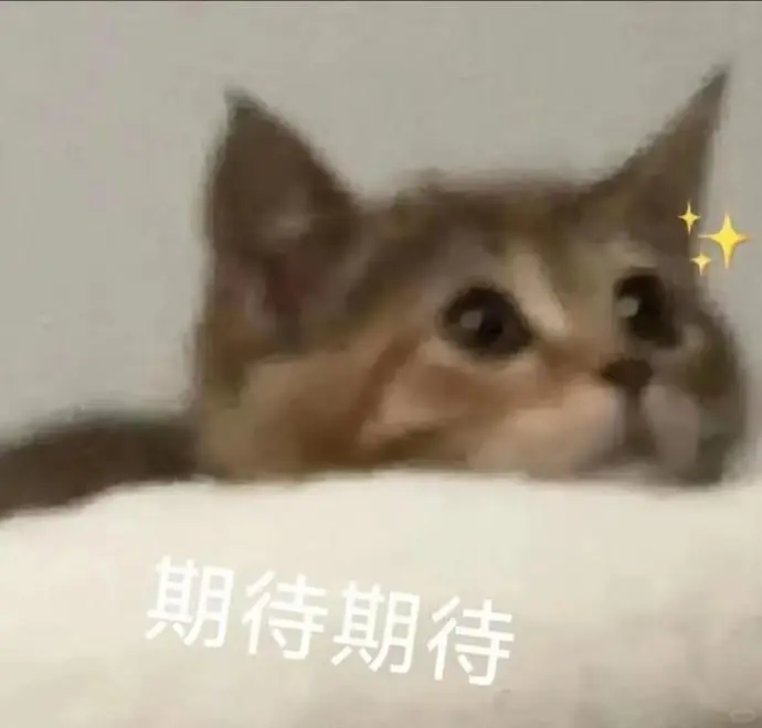 甜甜的猫猫表情包又来啦！