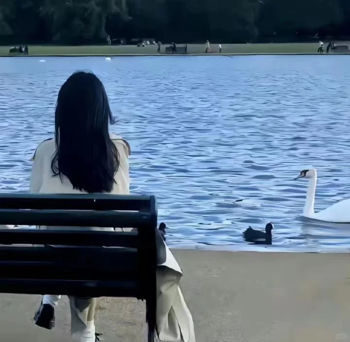 Share | 氛围感不露脸女头