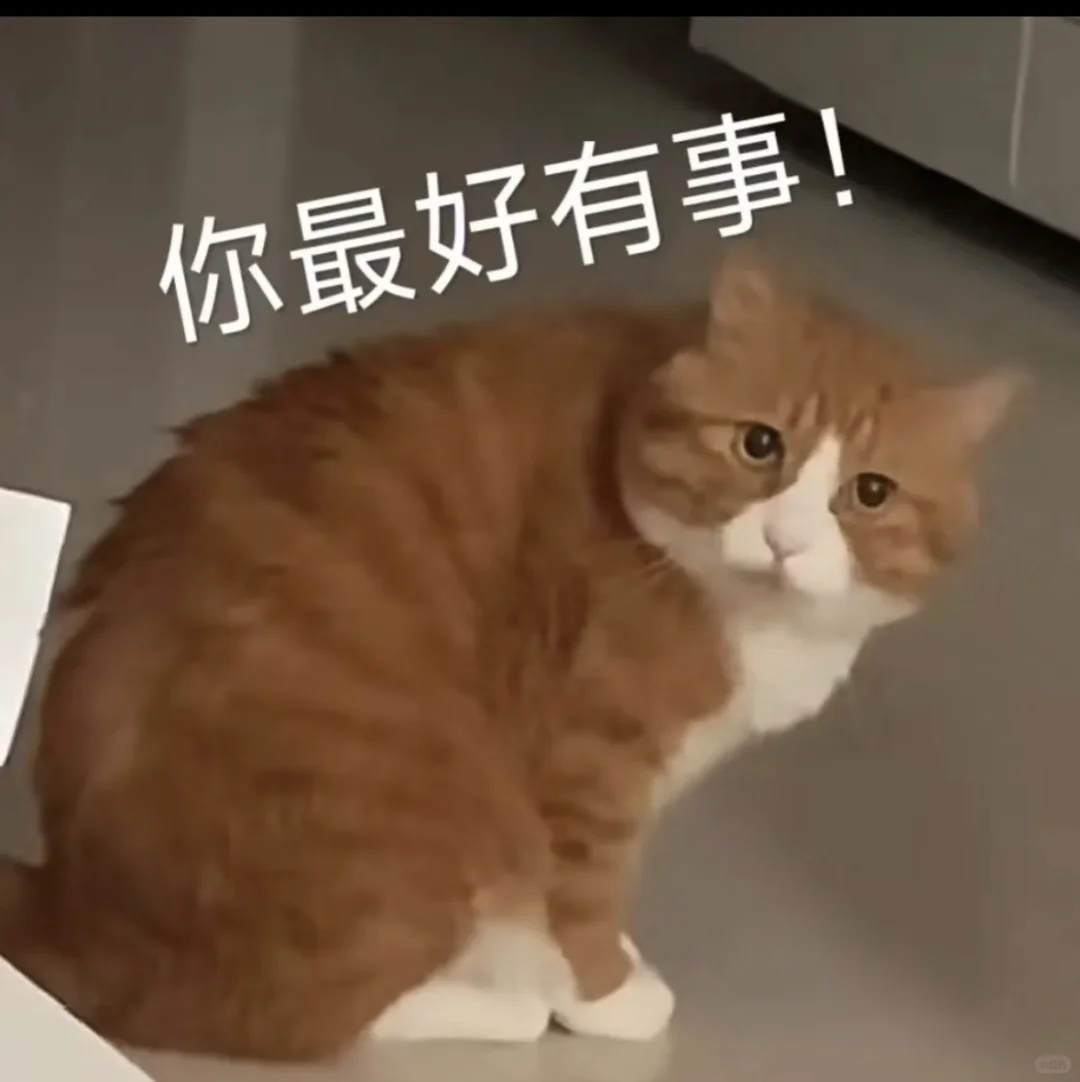 公主收表情包啦……