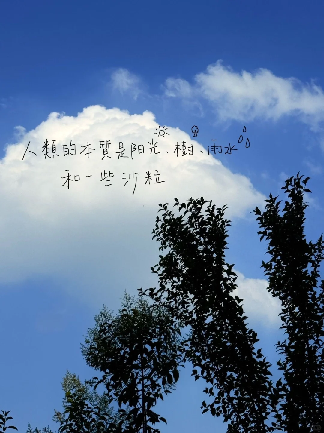 Share/顺顺的生活/壁纸