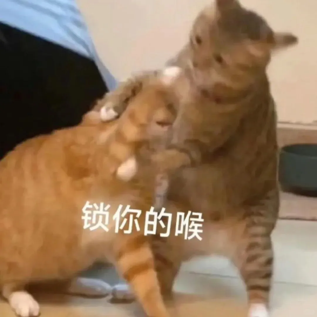 表情包｜尖叫！！！