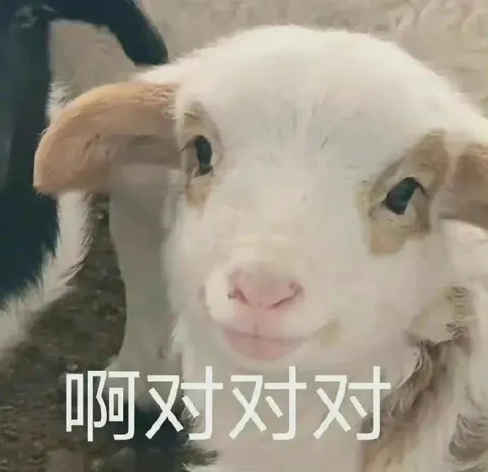 想吃小巴掌了？