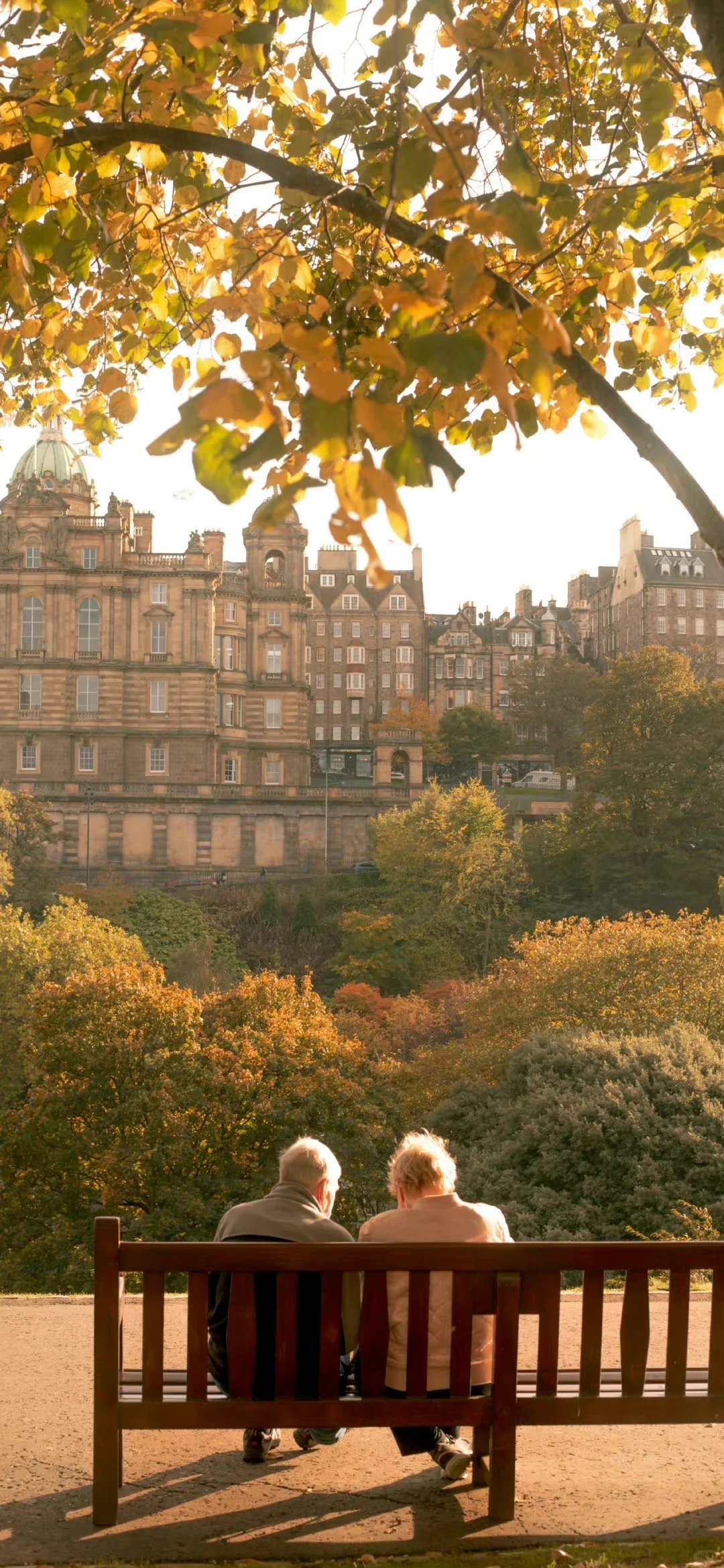 秋日限定壁纸上新