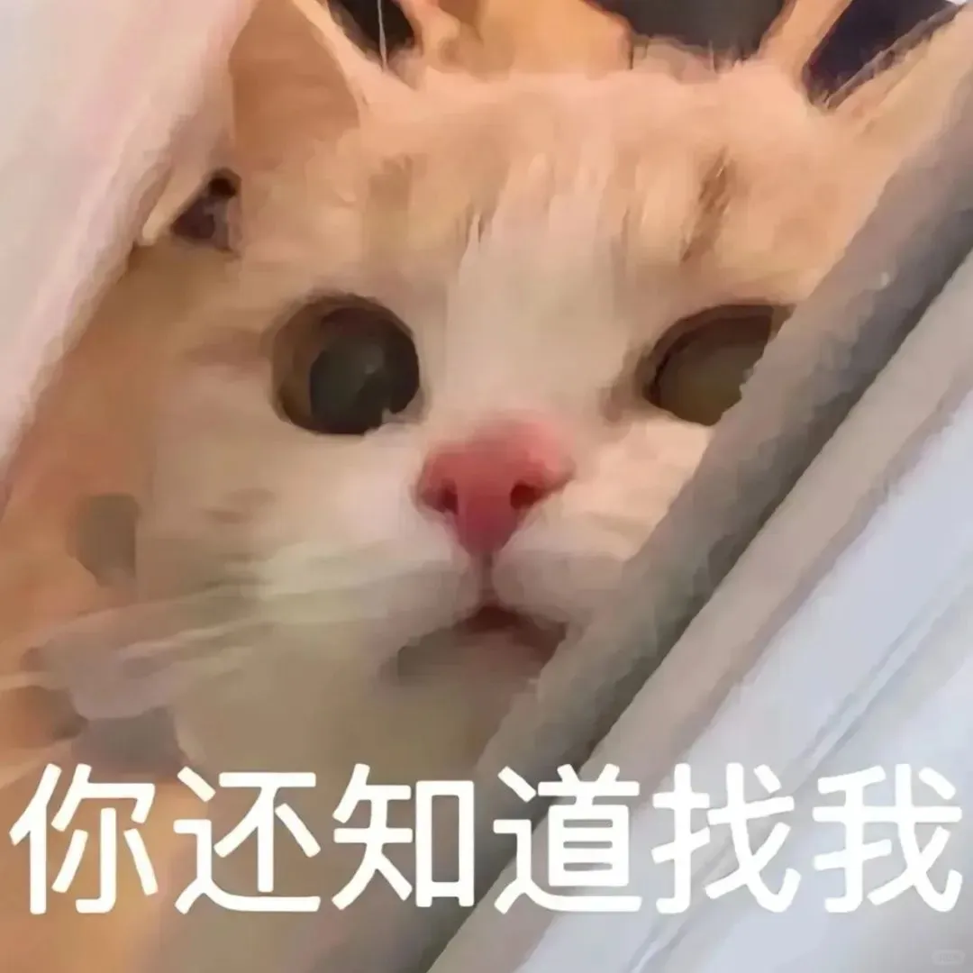 表情包｜尖叫！！！