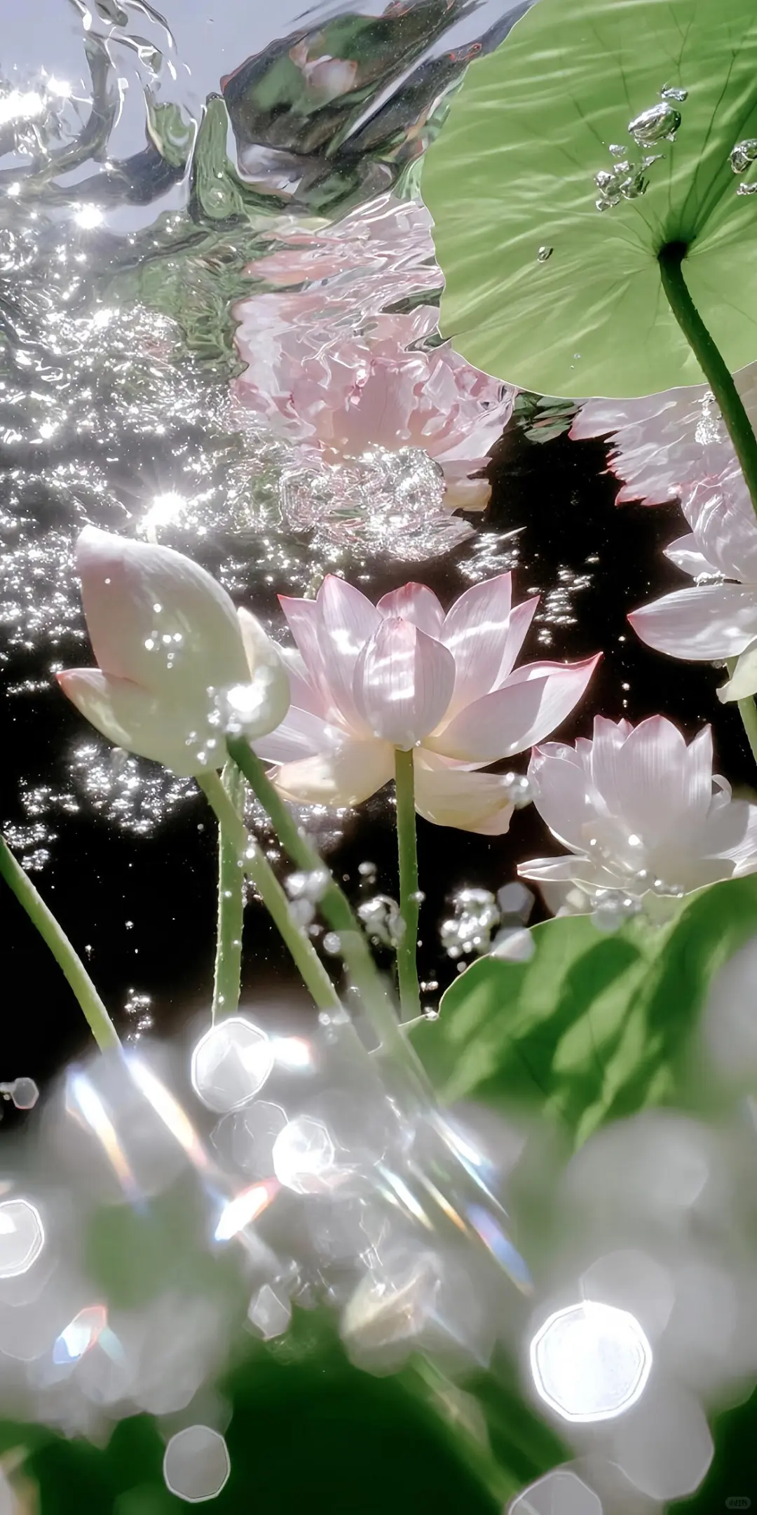 ios263D壁纸景深壁纸分享