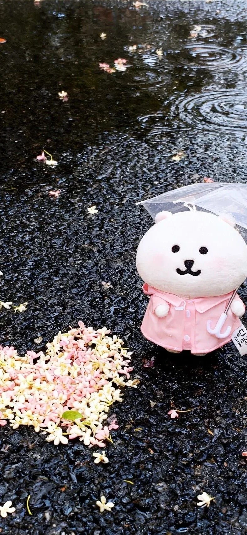 Share/你的新壁纸拍了拍你10.24👏