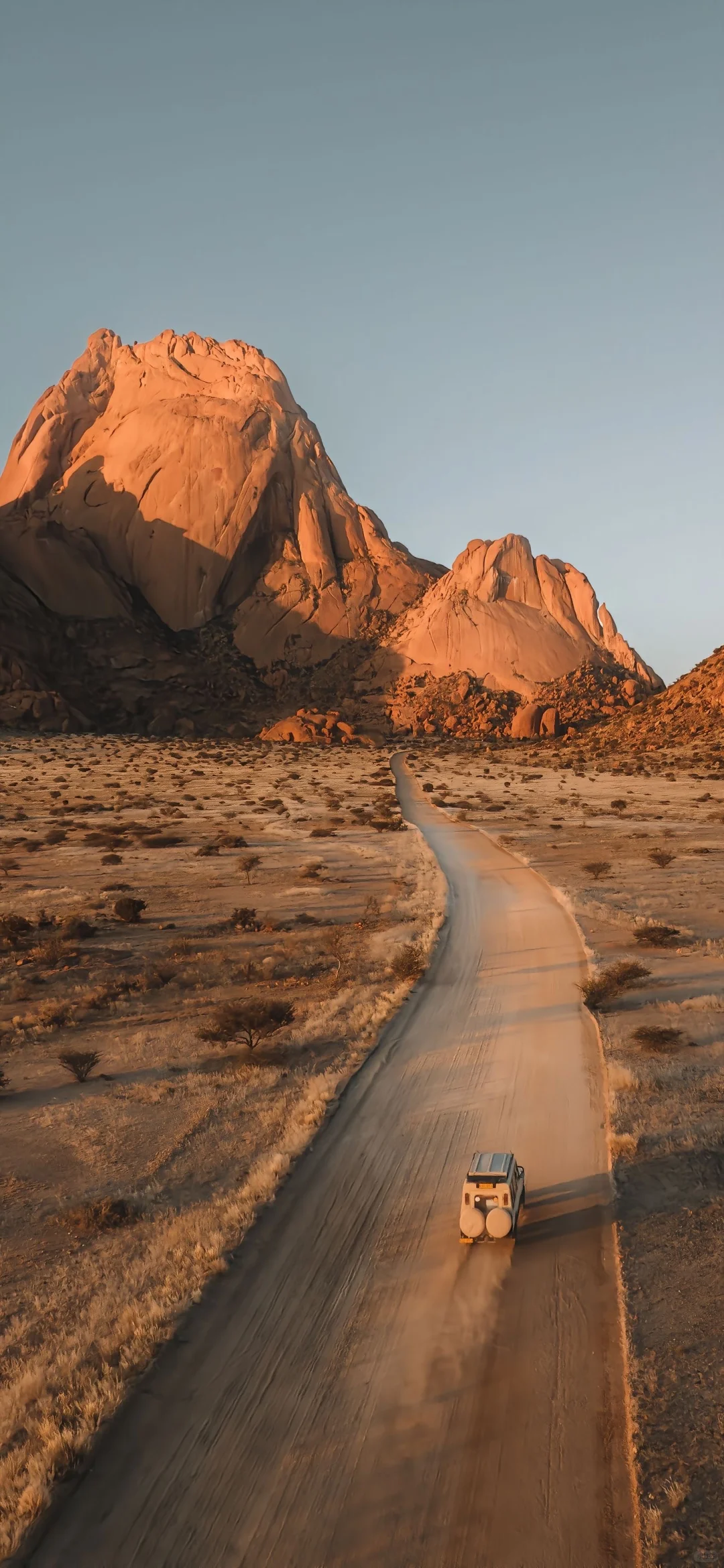 share丨生机盎然的壁纸