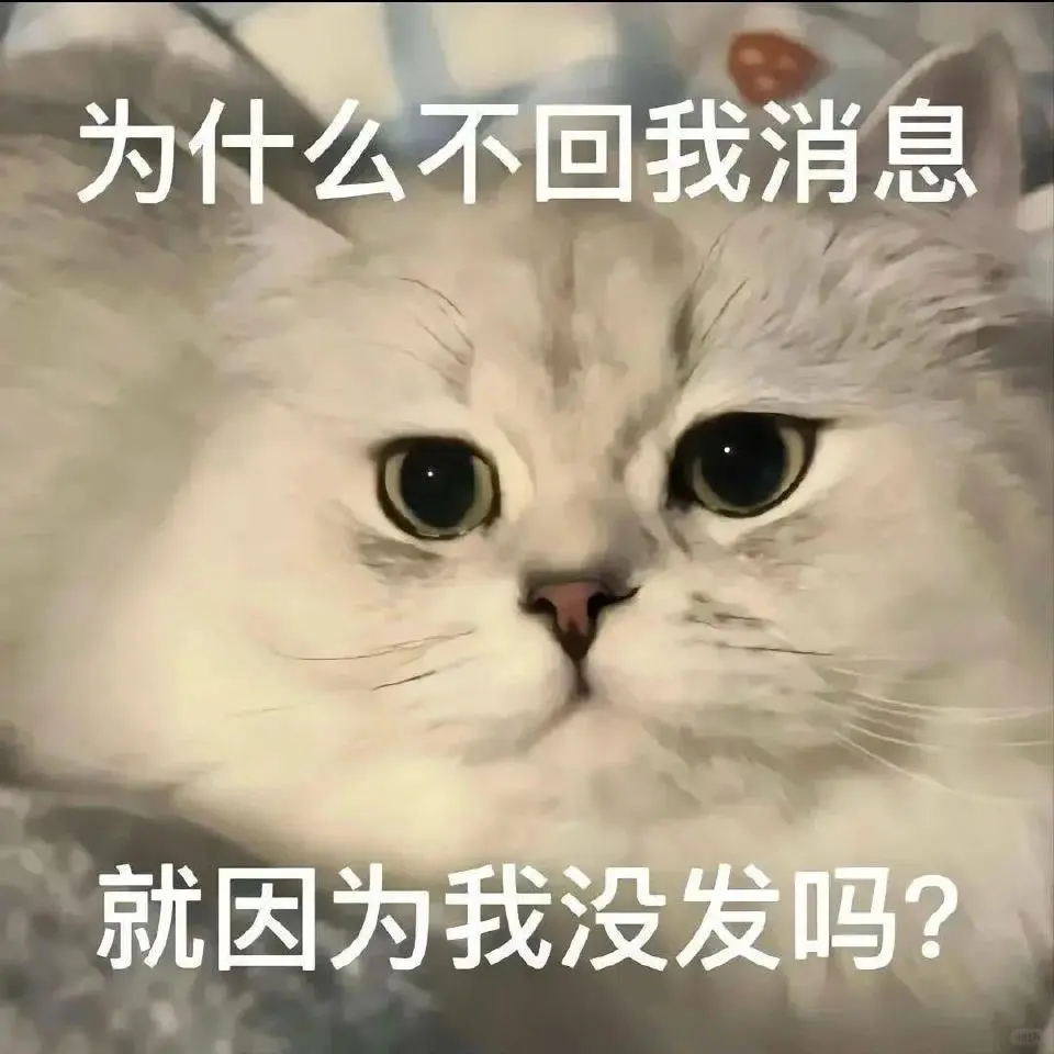 甜甜的猫猫表情包又来啦！