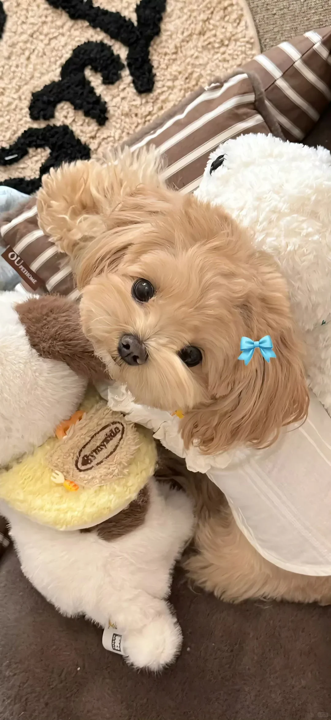 ♡ ˖ 🎧 ˖ 🎧 ˖ ｜高清干净氛围感壁纸✨