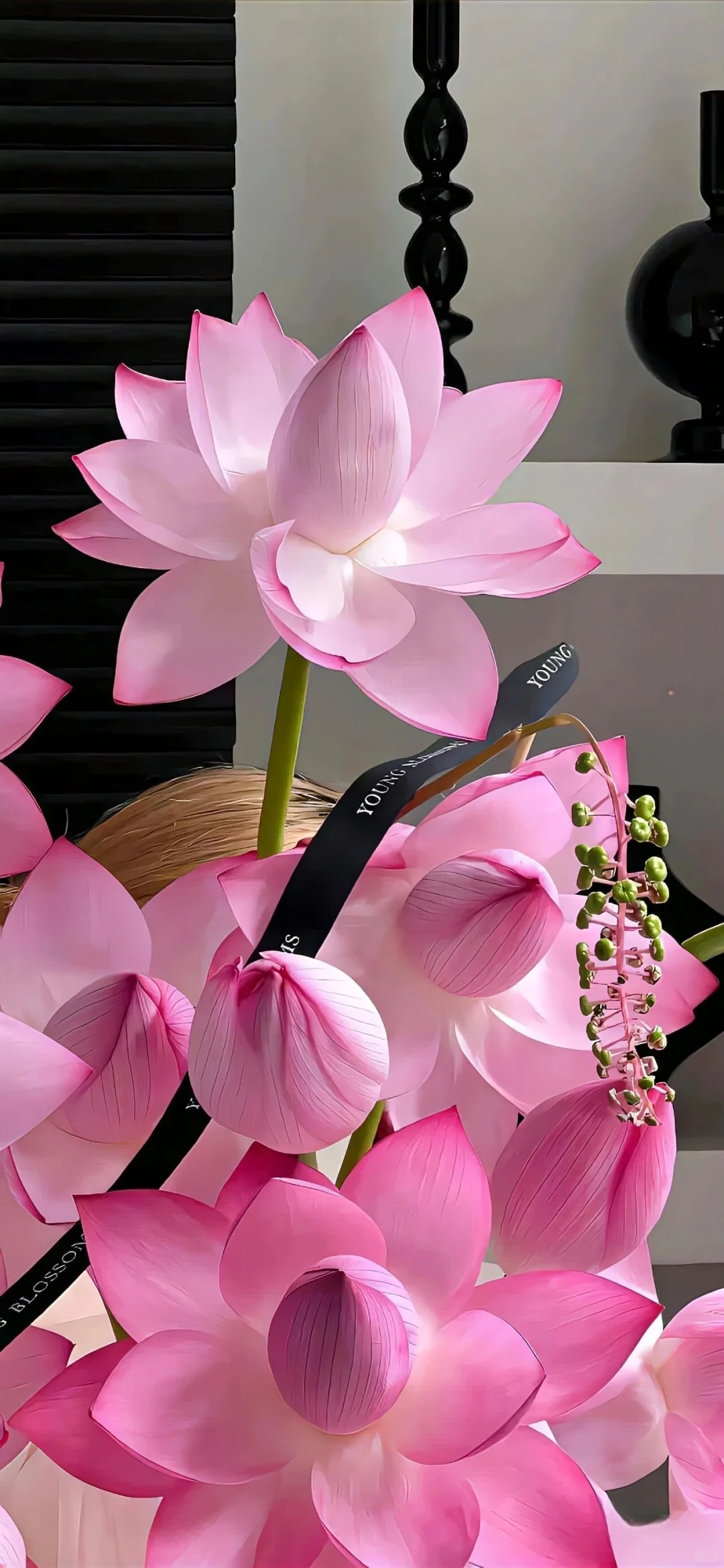 Share/你的新壁纸拍了拍你10.24👏