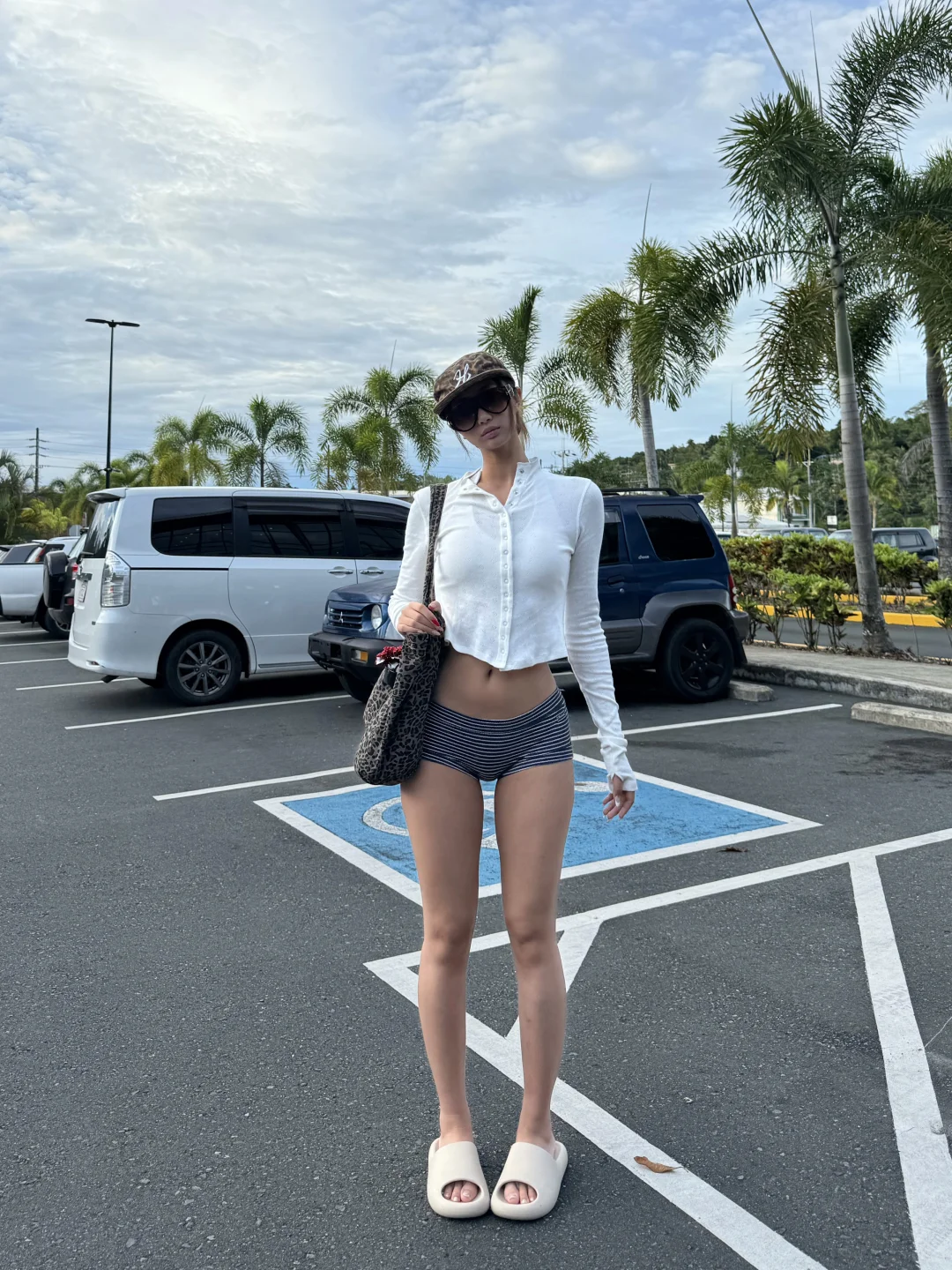 Plog先发⋆.˚⭒⋆.˚Palau🇵🇼