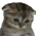 表情包/跟让你快乐的人在一起友谊爱情都是