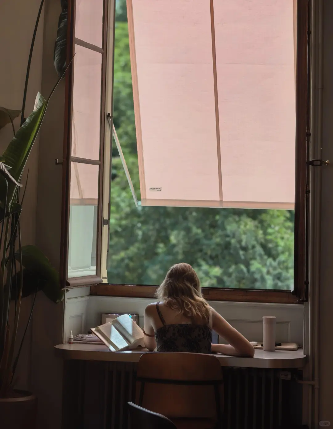 学习上岸小众壁纸松弛感学习📖📚