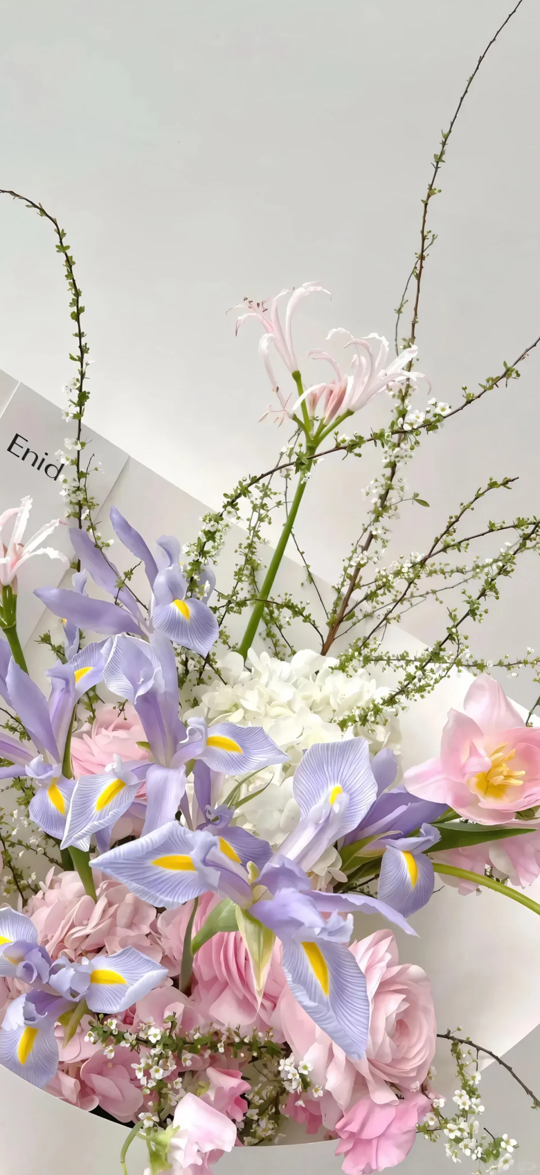 iOS26景深3D高清壁纸来啦～🪷🍀