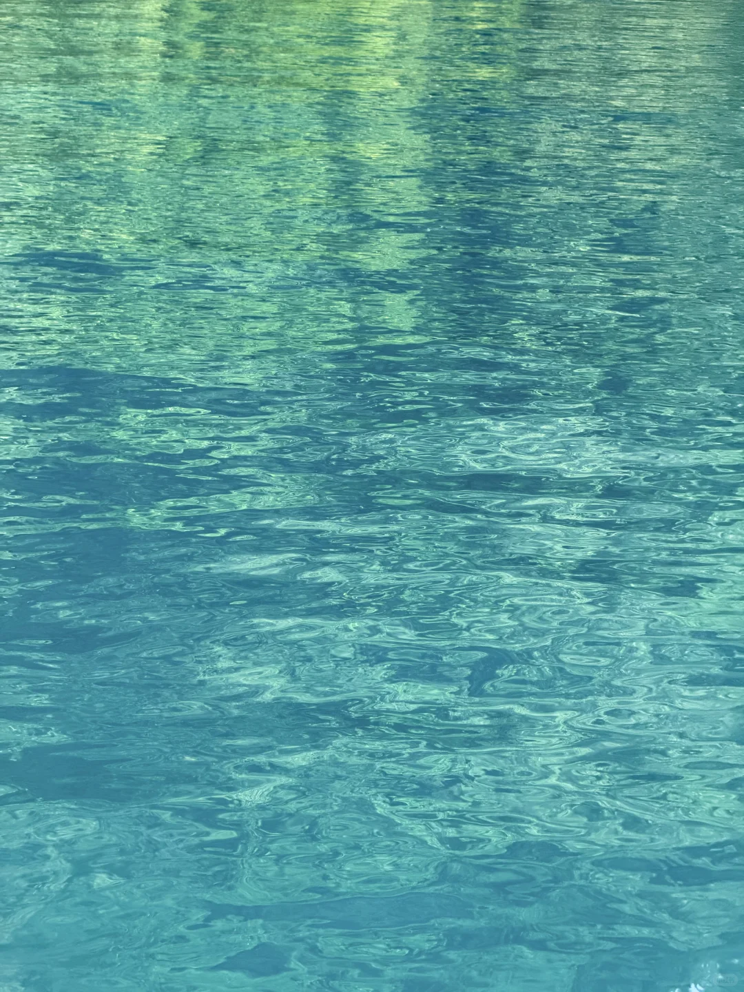 一起去吹吹帕劳🇵🇼的海风吧🌊