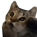 表情包/跟让你快乐的人在一起友谊爱情都是