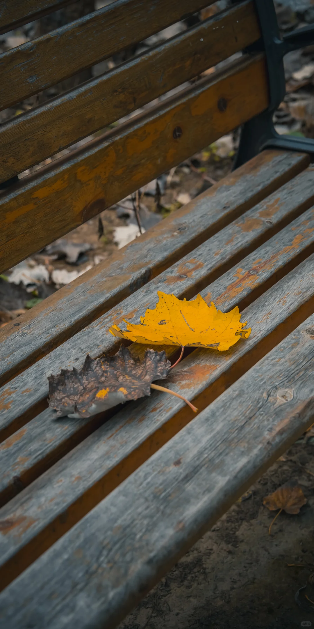 阴天，一份壁纸已送达