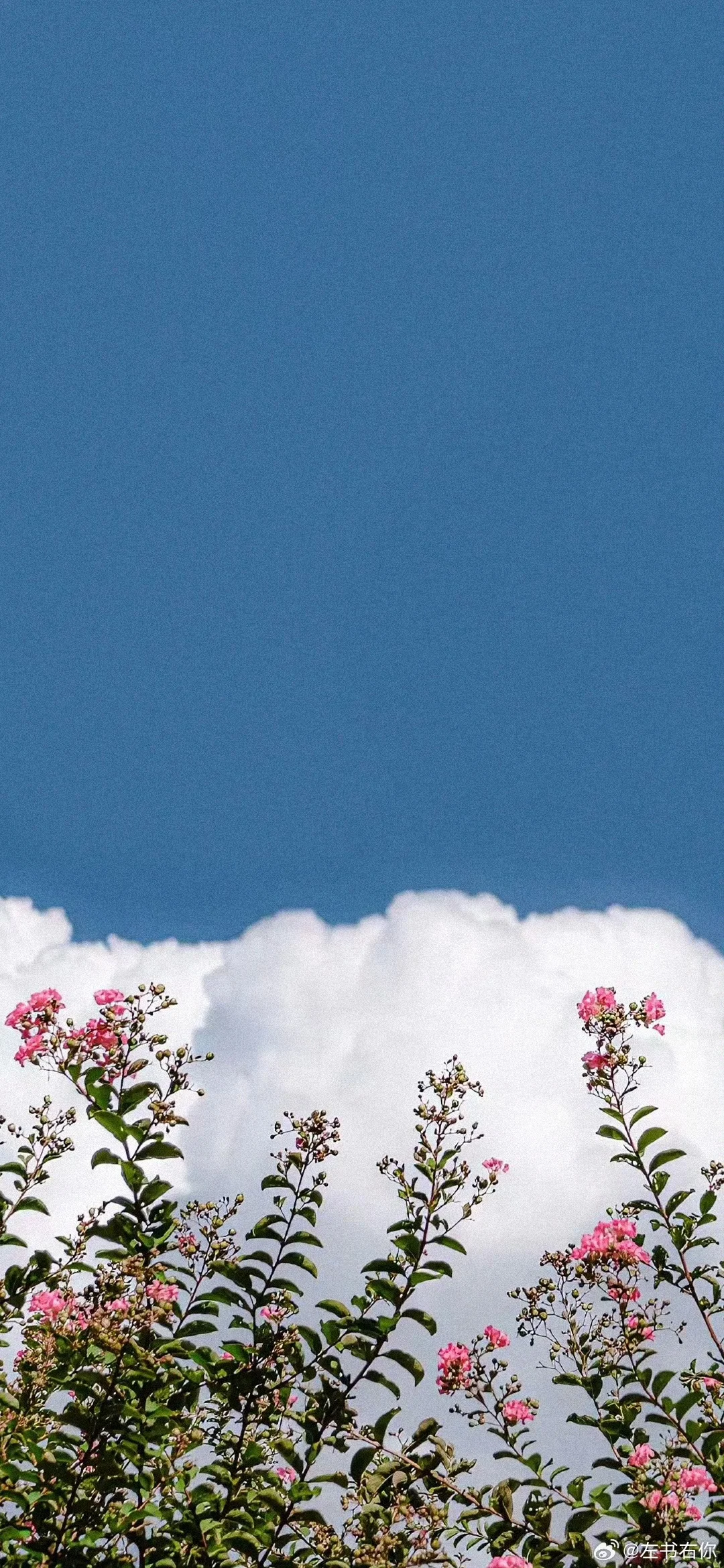 Wallpaper | 超级养眼好看的壁纸~