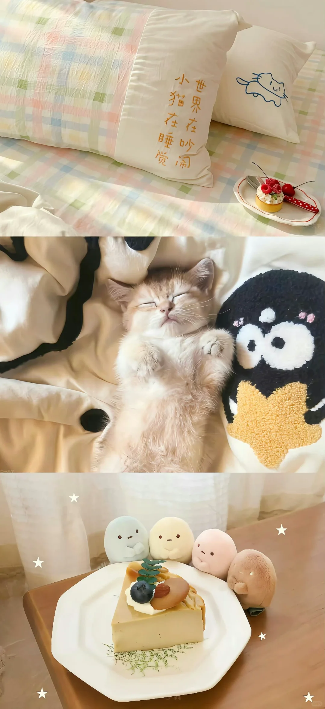 share🍥|可爱壁纸⊹✮₊⋆