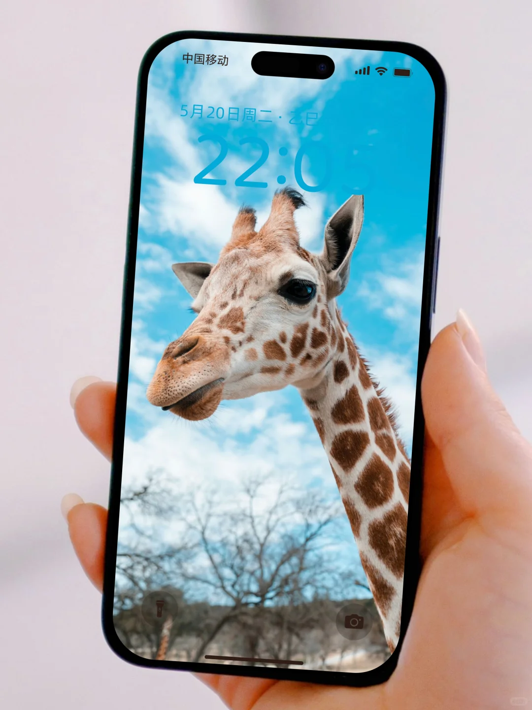 高清养眼手机壁纸