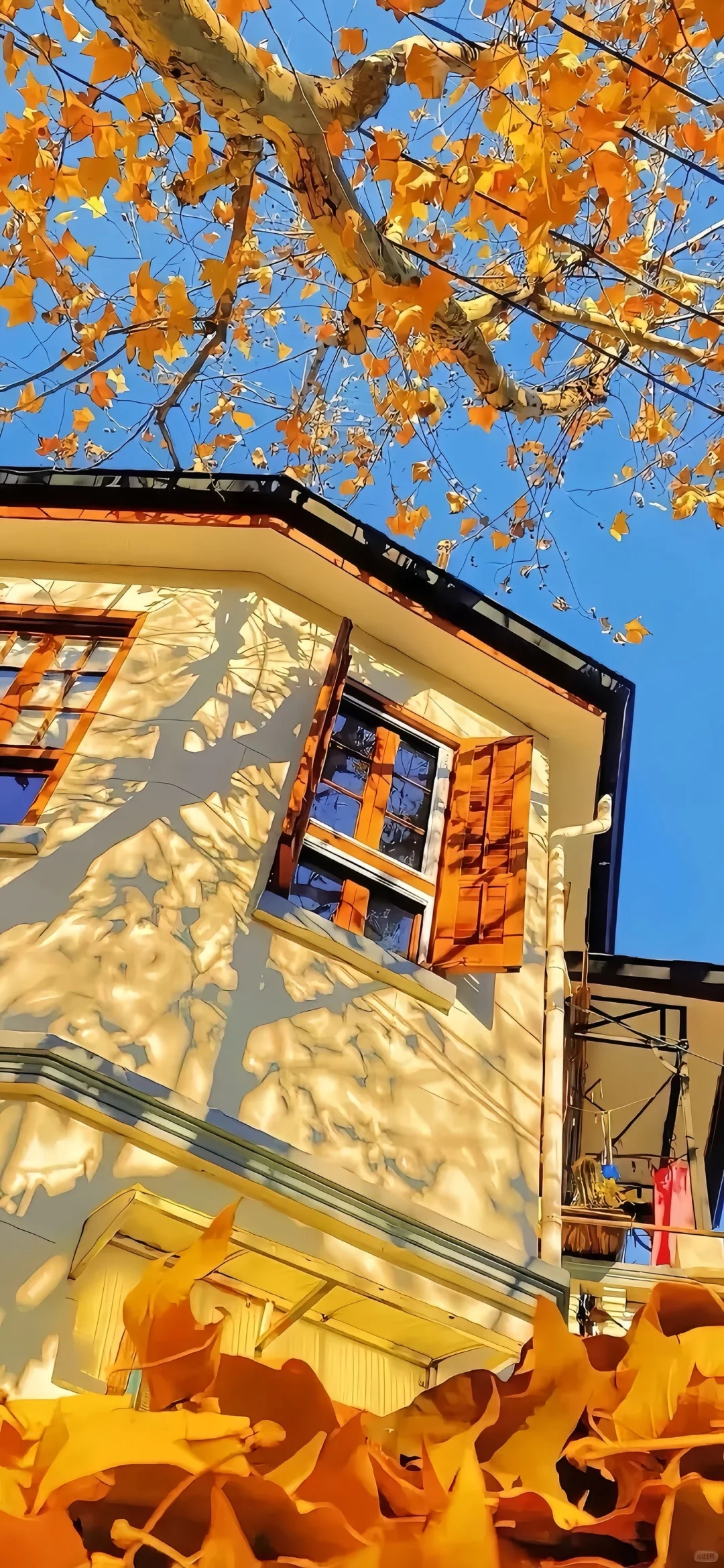 share丨秋日壁纸推荐10.29