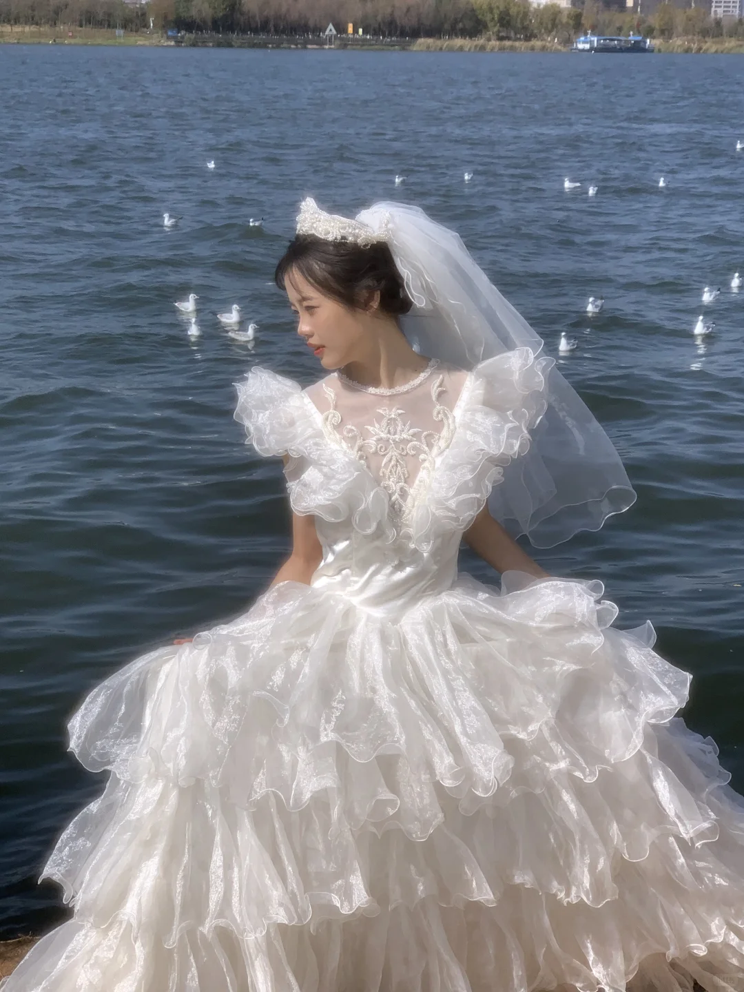 海鸥与婚纱共舞🕊️昆明约拍 昆明海鸥写真