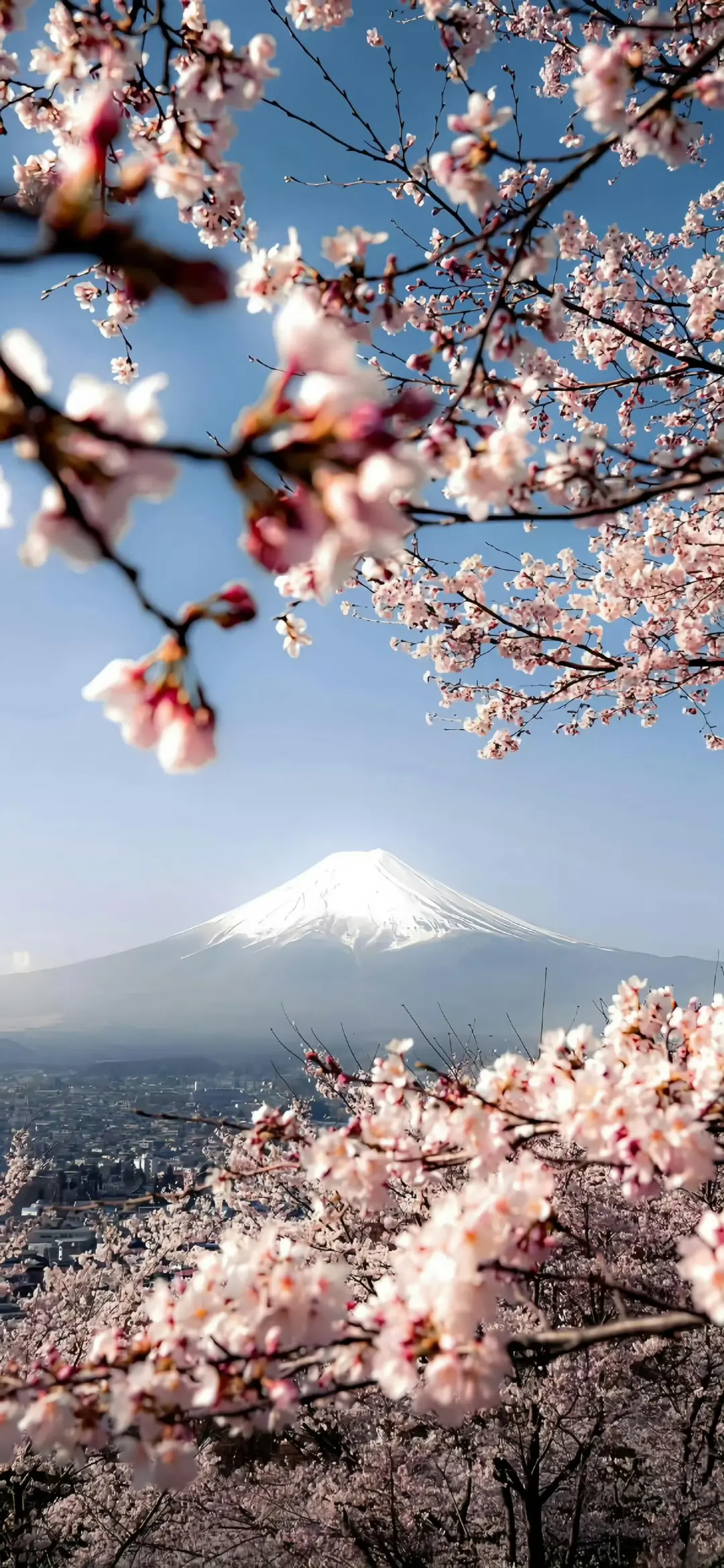 ios263D壁纸景深壁纸分享