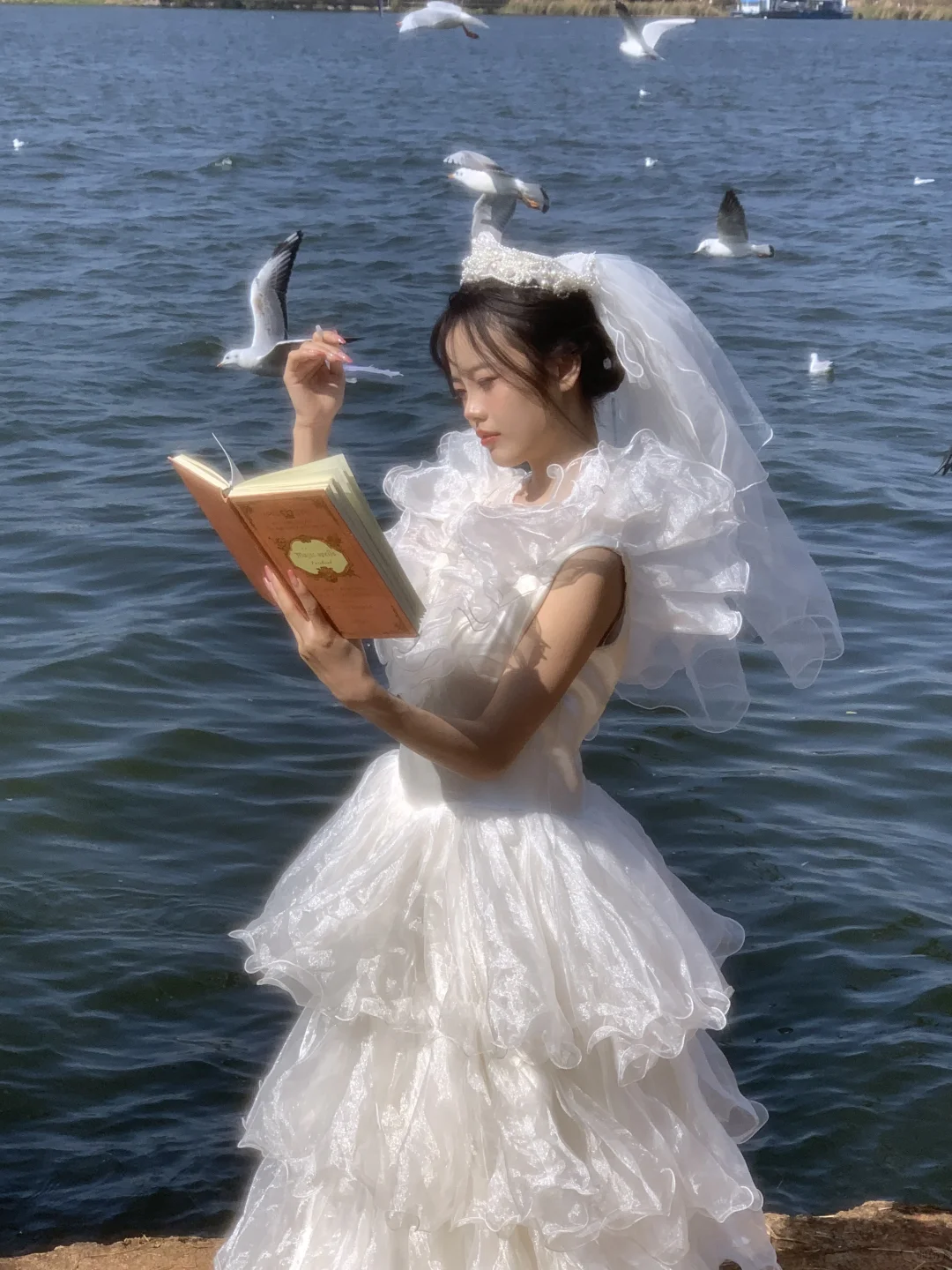 海鸥与婚纱共舞🕊️昆明约拍 昆明海鸥写真