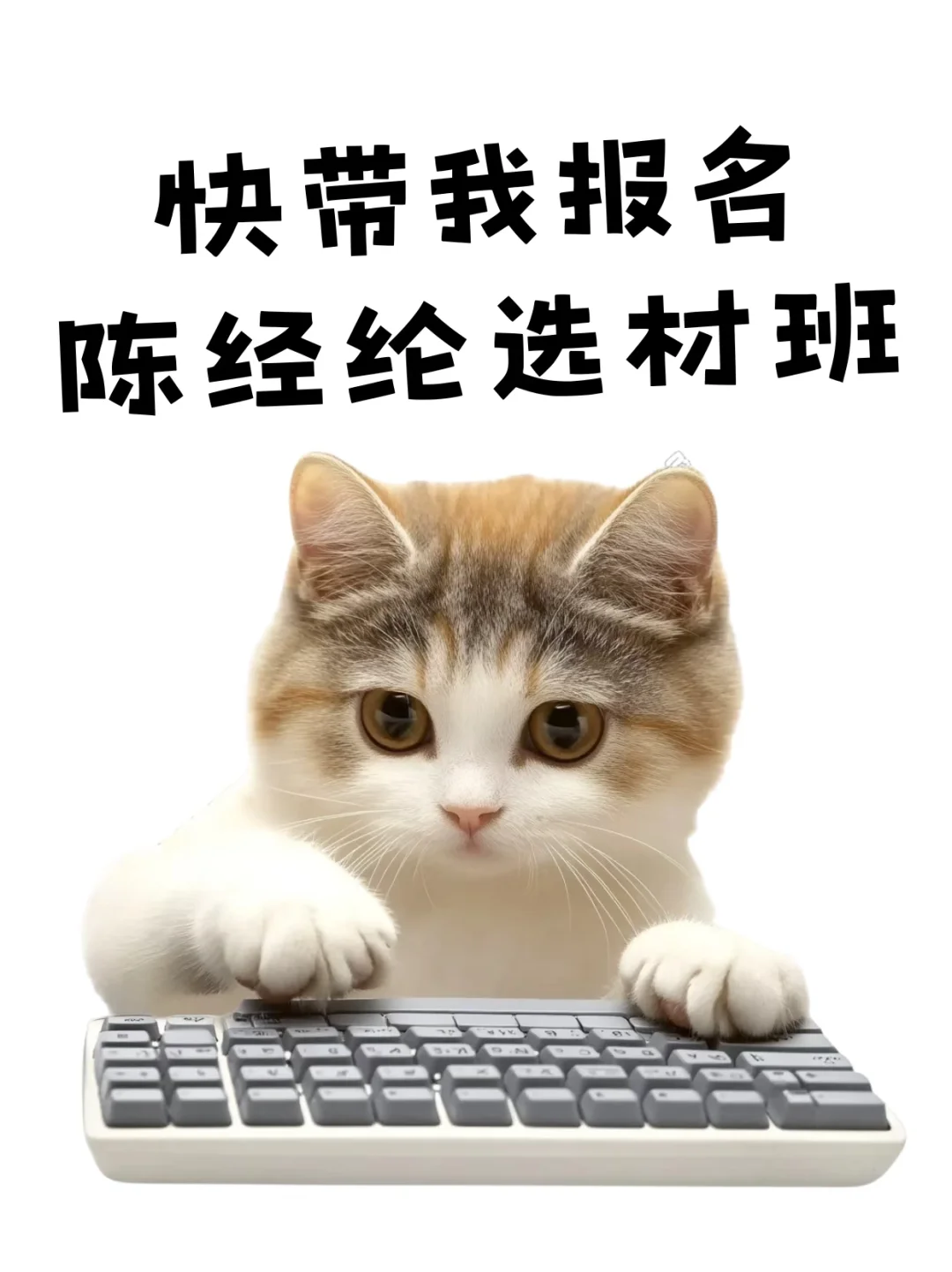 8月热梗表情🔥，马上更新你的新鲜表情