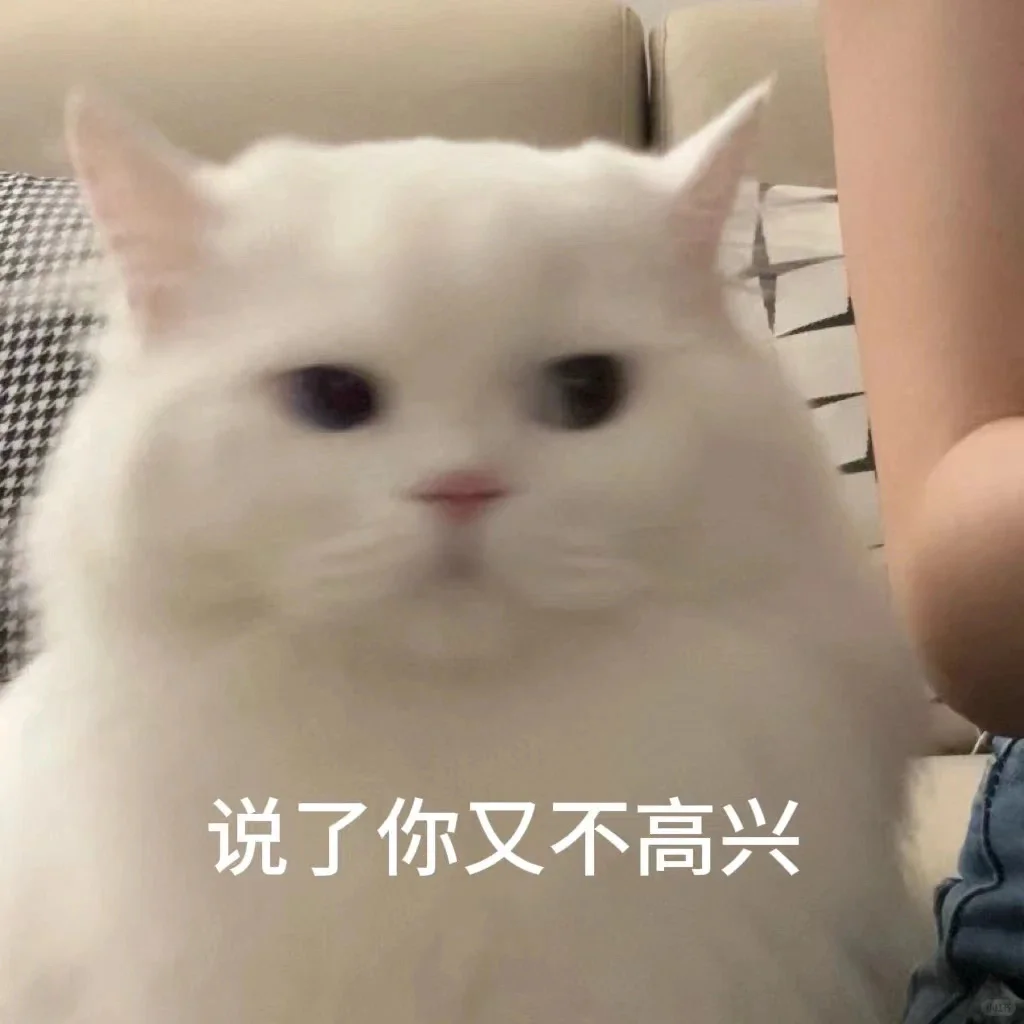 实用表情包5.0｜近期爱用分享