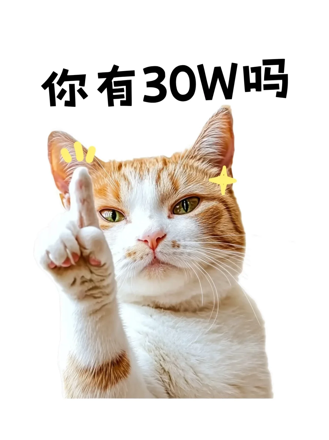 8月热梗表情🔥，马上更新你的新鲜表情