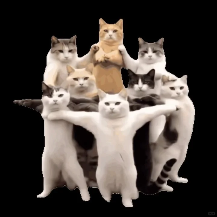 npy 说再发这种表情包就分手💔