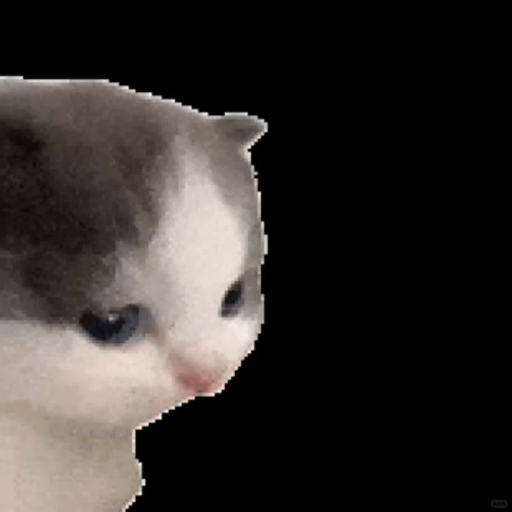 抽象猫meme动态表情包分享 (｡ì _ í｡)