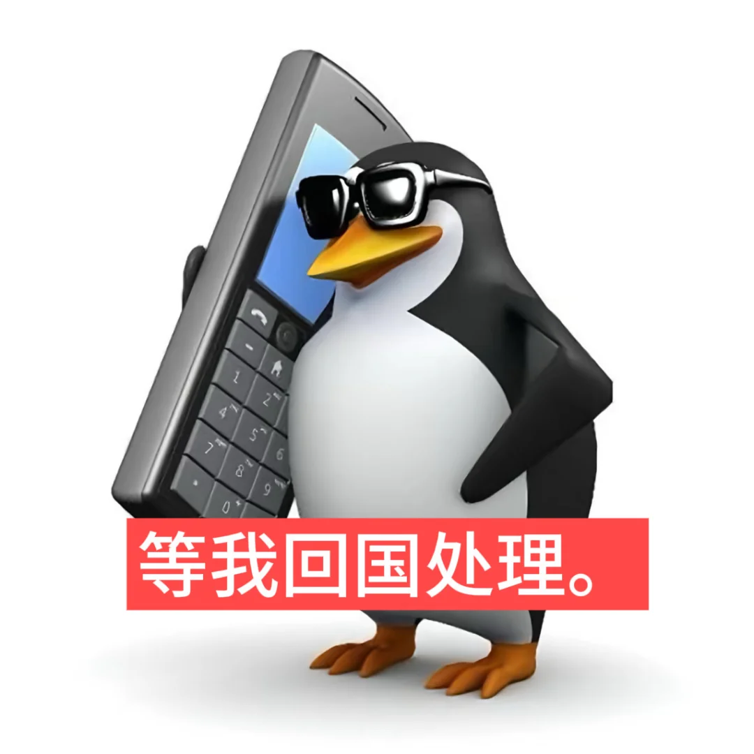 高雅人士视察。1️⃣