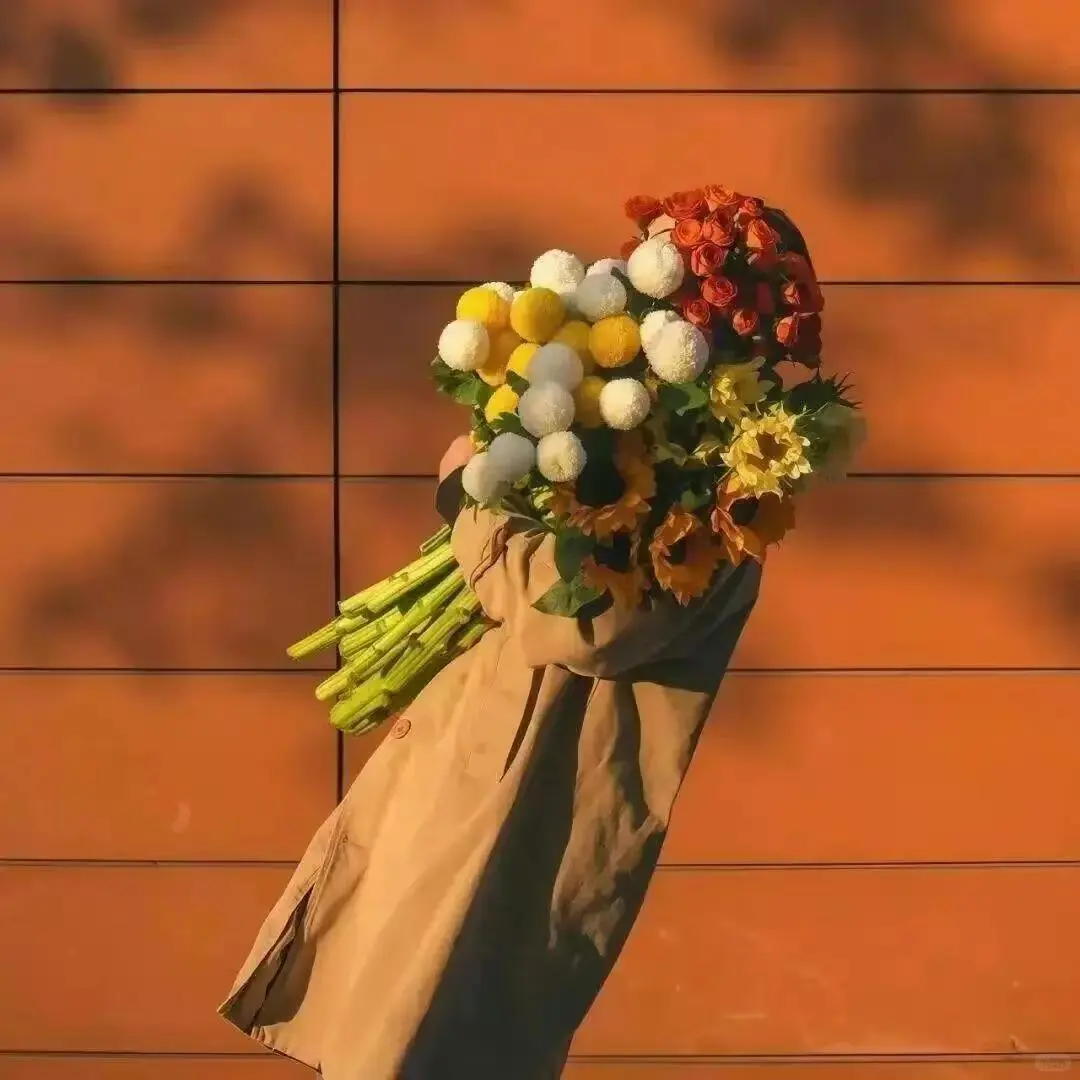 想看看你们的氛围感头像