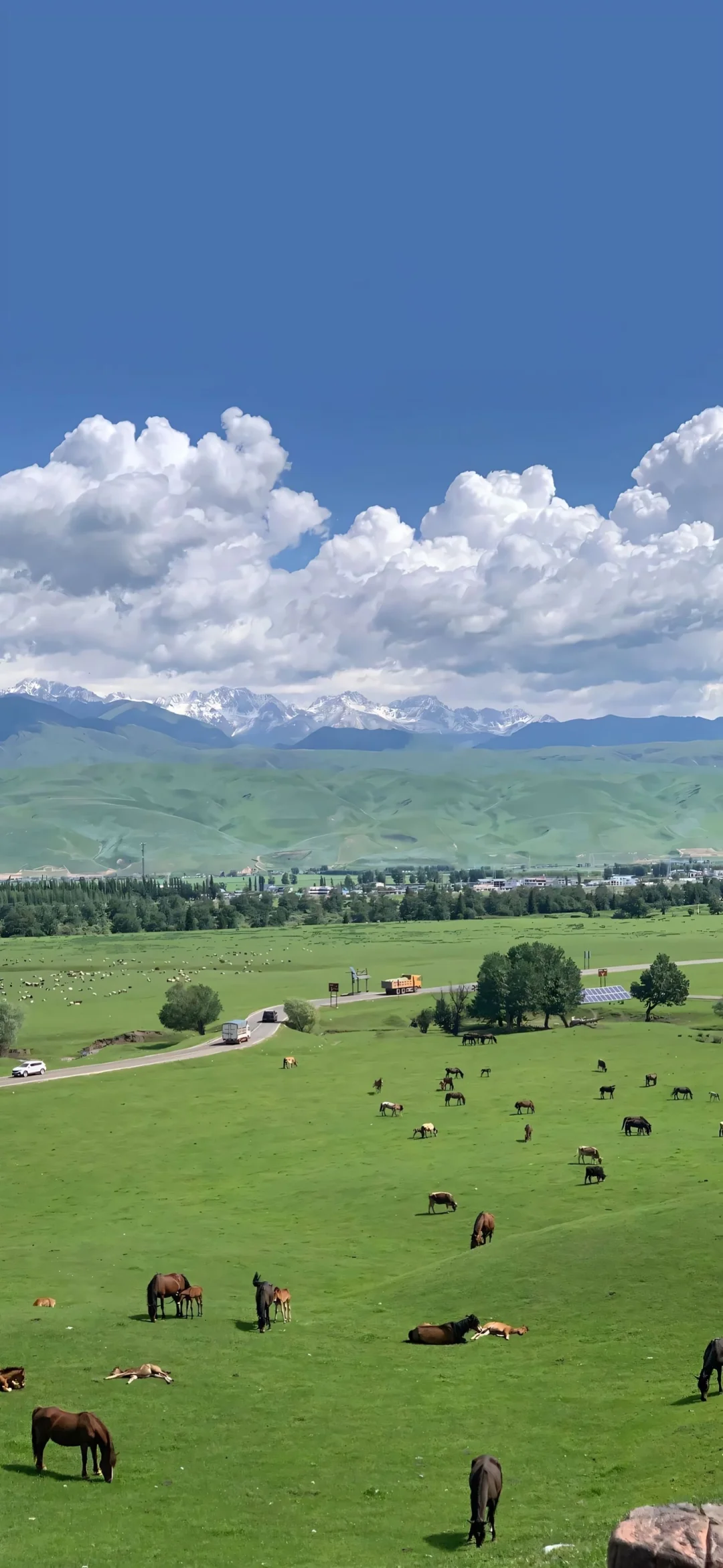 Date25/09/23 | 壁纸