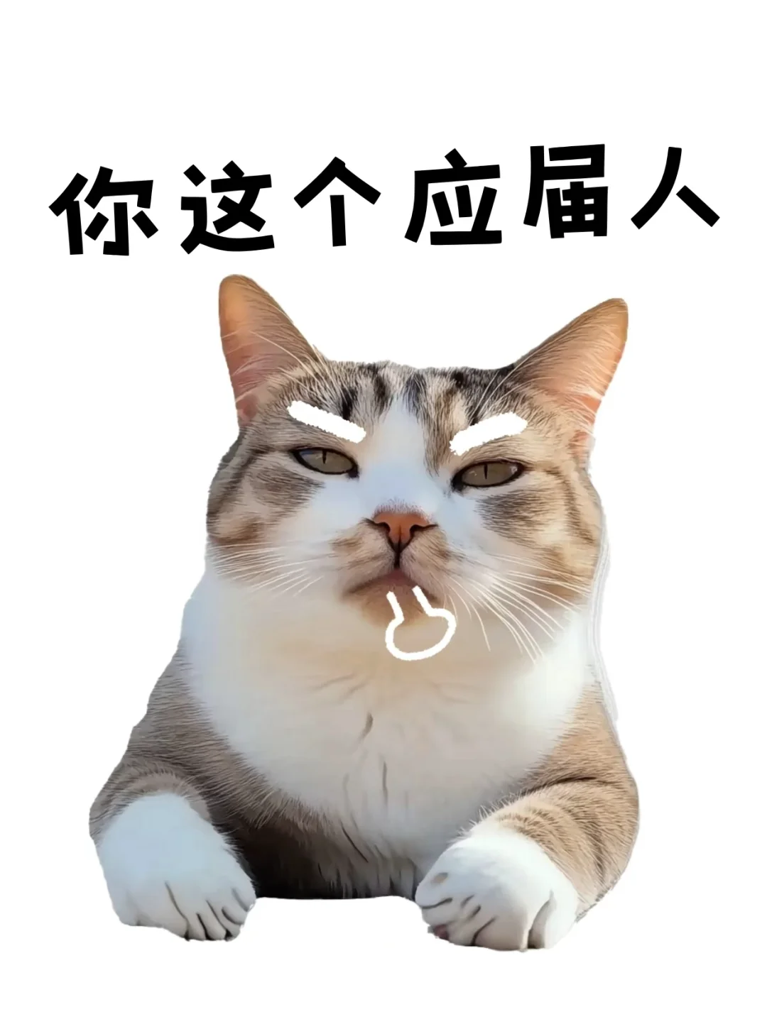 8月热梗表情🔥，马上更新你的新鲜表情